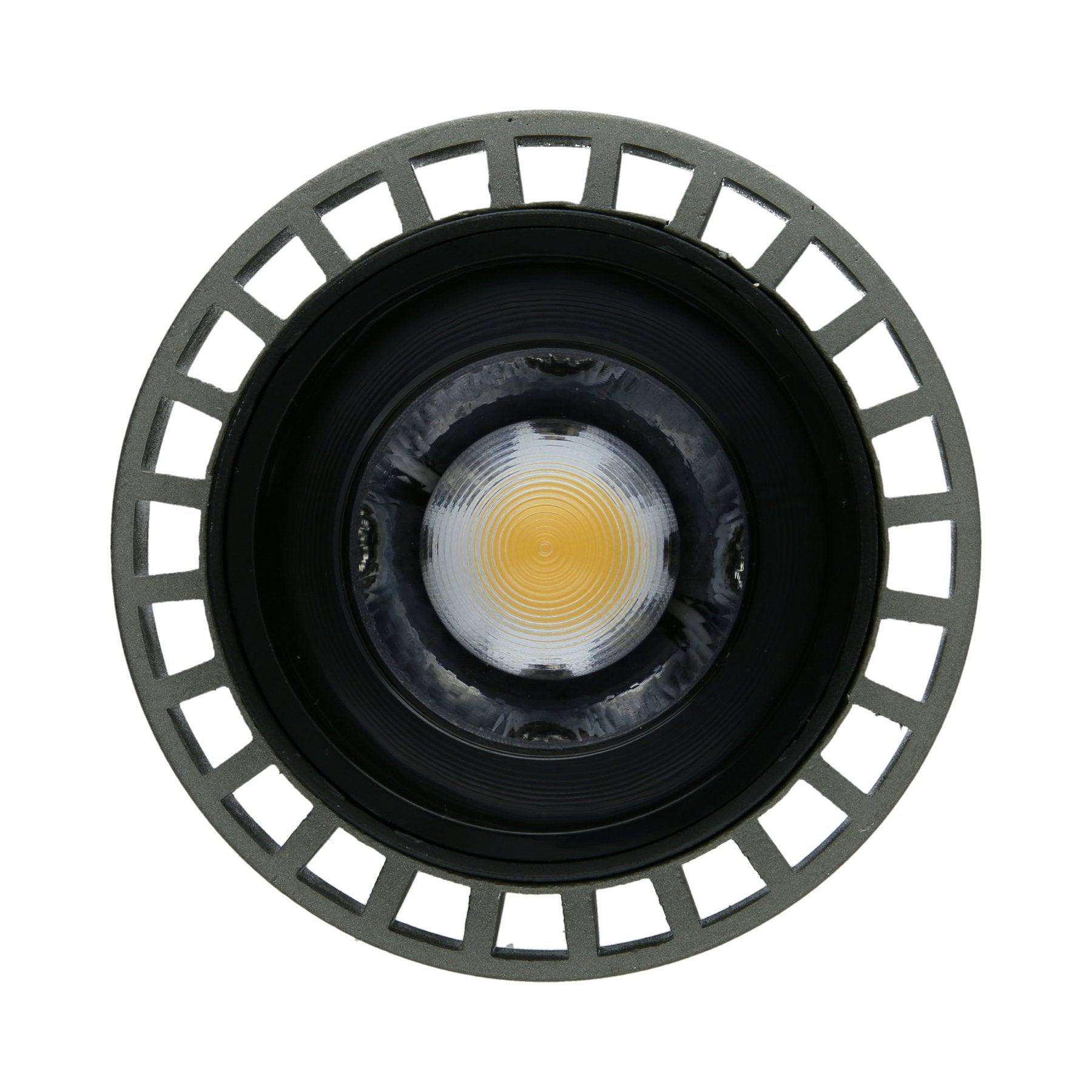 PAR 30 LED Floodlight (Ultra-high cri)