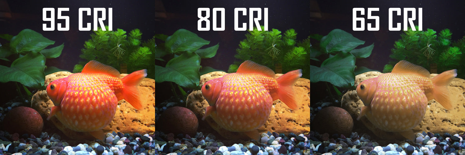 LED A19 Filament Bulb (ultra-high cri)